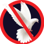 All Bird Net Service